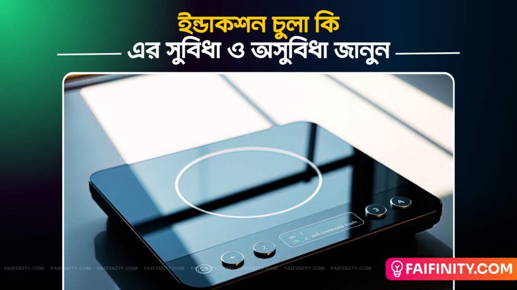 ইন্ডাকশন চুলা কি?